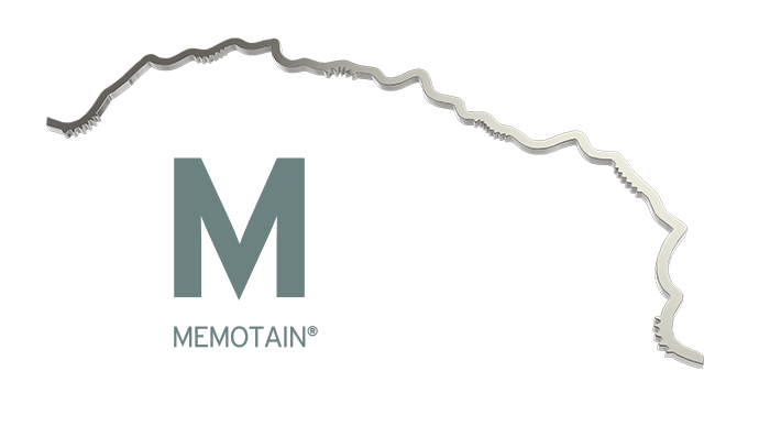 memotain 2.0 w-logo copy